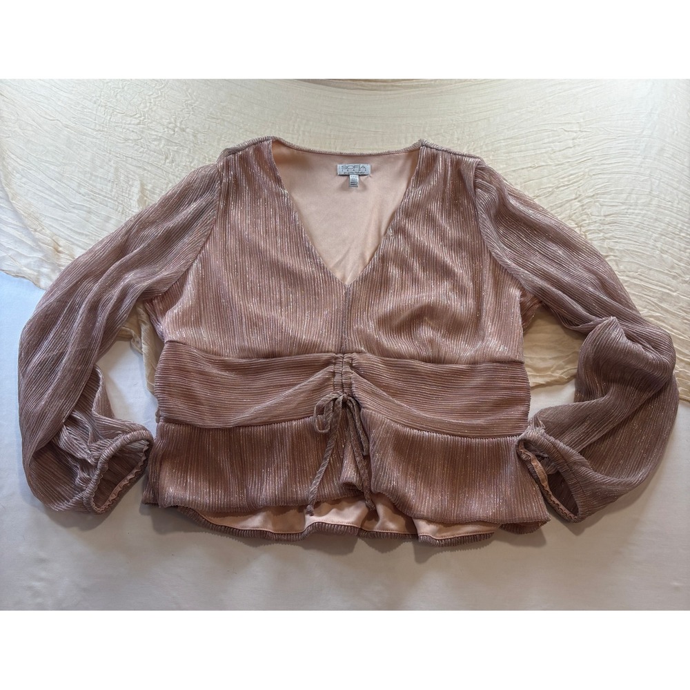 Sophia Vergara Women's Rose GLAM / Sparkle Sheer Long Sleeve Top Size XXXL